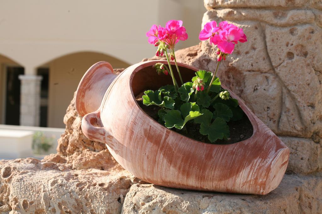 Aphrodite Sands Resort Mandria  Exteriör bild